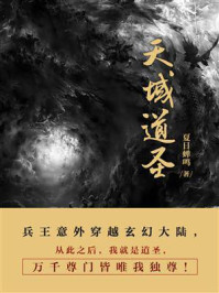 天域道圣（第2卷）