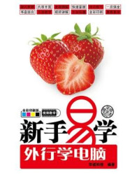 新手易学:外行学电脑