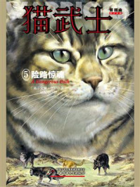 猫武士首部曲5：险路惊魂