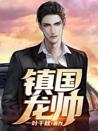 镇国龙帅
