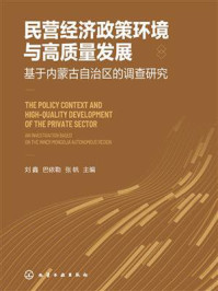 民营经济政策环境与高质量发展：基于内蒙古自治区的调查研究