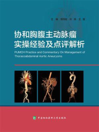 协和胸腹主动脉瘤实操经验及点评解析