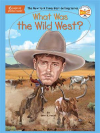 What Was the Wild West？