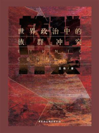 世界政治中的族群冲突