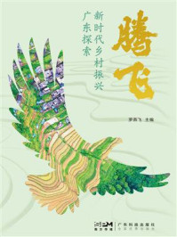 腾飞：新时代乡村振兴广东探索