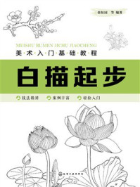 美术入门基础教程：白描起步