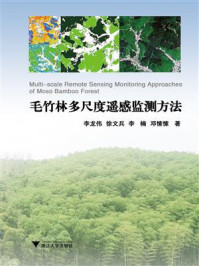 毛竹林多尺度遥感监测方法