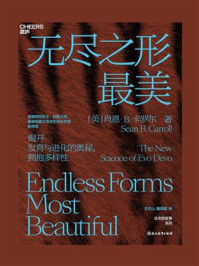 无尽之形最美