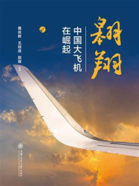 翱翔：中国大飞机在崛起