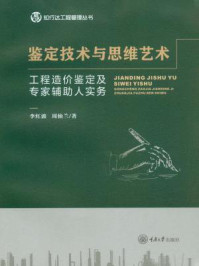 鉴定技术与思维艺术：工程造价鉴定及专家辅助人实务