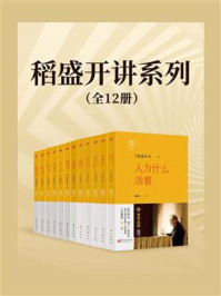 稻盛开讲系列（全12册）