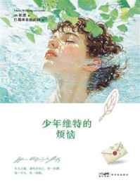 少年维特的烦恼