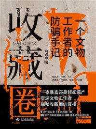 收藏圈:一个文物工作者的防骗手记