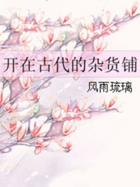 开在古代的杂货铺