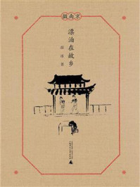 微南京 漂泊在故乡