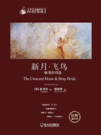 文学艺术袖珍馆1：新月·飞鸟