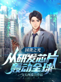 国货之光，从研发芯片，轰动全球！