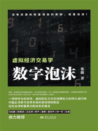 数字泡沫：虚拟经济交易学