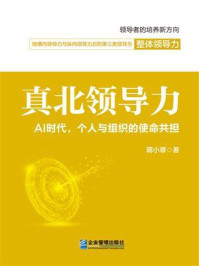 真北领导力：AI时代，个人与组织的使命共担