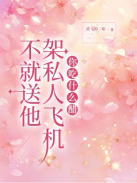 不就送他架私人飞机，你吃什么醋