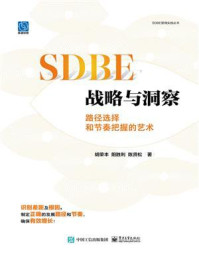 SDBE战略与洞察:路径选择和节奏把握的艺术