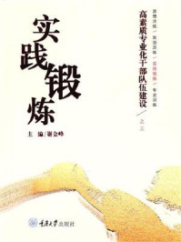 高素质专业化干部队伍建设 3：实践锻炼