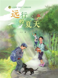 “好孩子”中国原创书系·远行的夏天