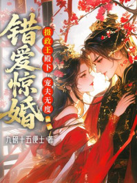 错爱惊婚，摄政王殿下宠夫无度
