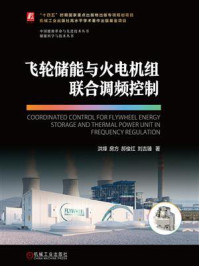 飞轮储能与火电机组联合调频控制