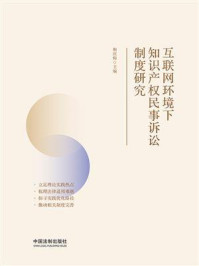 互联网环境下知识产权民事诉讼制度研究