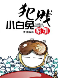 犯贱小白兔系列