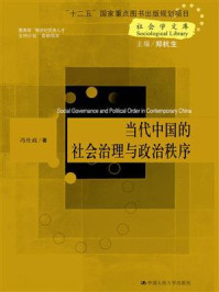 中国社会治理与政治秩序