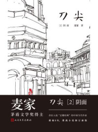 刀尖2:阴面(张译主演电影《刀尖》原著小说)