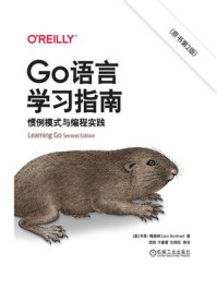 Go语言学习指南:惯例模式与编程实践(原书第2版)