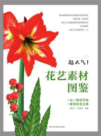 超人气!花艺素材图鉴