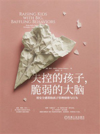 失控的孩子,脆弱的大脑:用安全感帮助孩子管理情绪与行为