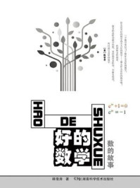 好的数学:数的故事(数学爱好者写给自己的书)