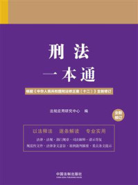 刑法一本通(第十版)