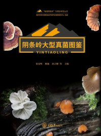 阴条岭大型真菌图鉴