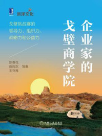 企业家的戈壁商学院:戈壁挑战赛的领导力、组织力、战略力和公益力