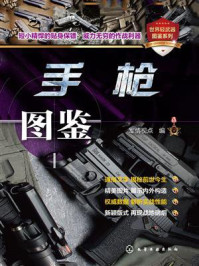 手枪图鉴
