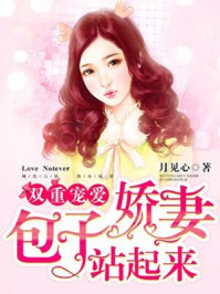 双重宠爱:包子娇妻站起来