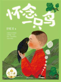 怀念一只鸟