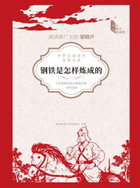 钢铁是怎样炼成的