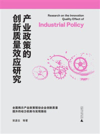 产业政策的创新质量效应研究