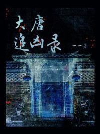 大唐追凶录
