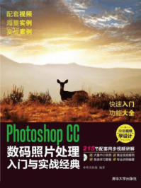 Photoshop CC数码照片处理入门与实战经典