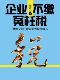 企业不缴冤枉税:财税专家的省税晋级书