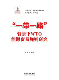 “一带一路”背景下WTO能源贸易规则研究