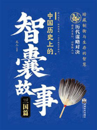 中国历史上的智囊故事：三国篇